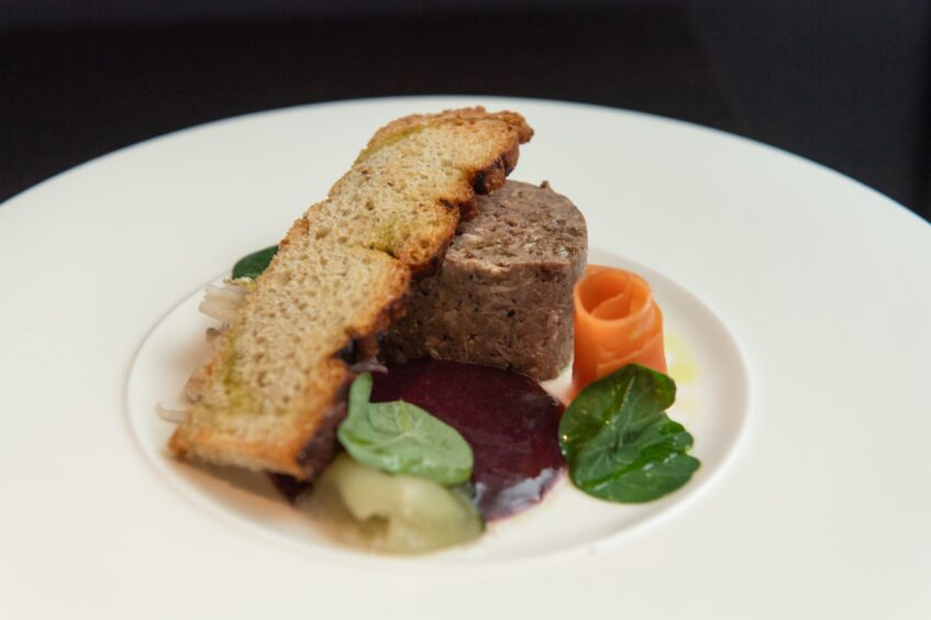 The game terrine 