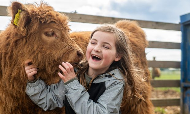 Aikenshill Highlands safari experience welcomed Emily Redmond, who met  Erin the calf. Image: Kath Flannery/DC Thomson