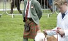 Michael Durno of the Auchorachan herd at Glenlivet judging Simmentals on the opening day of the show.