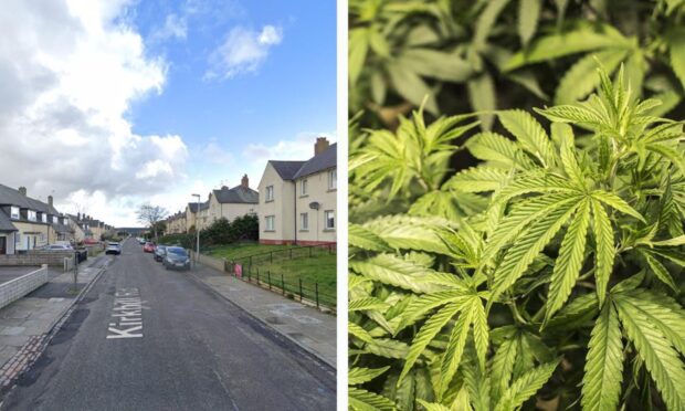 Cannabis plants were uncovered during the drugs bust on Kirkhill Road. Image: Google Maps/Shutterstock.