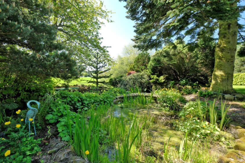 Renovated Inverurie mill's garden.