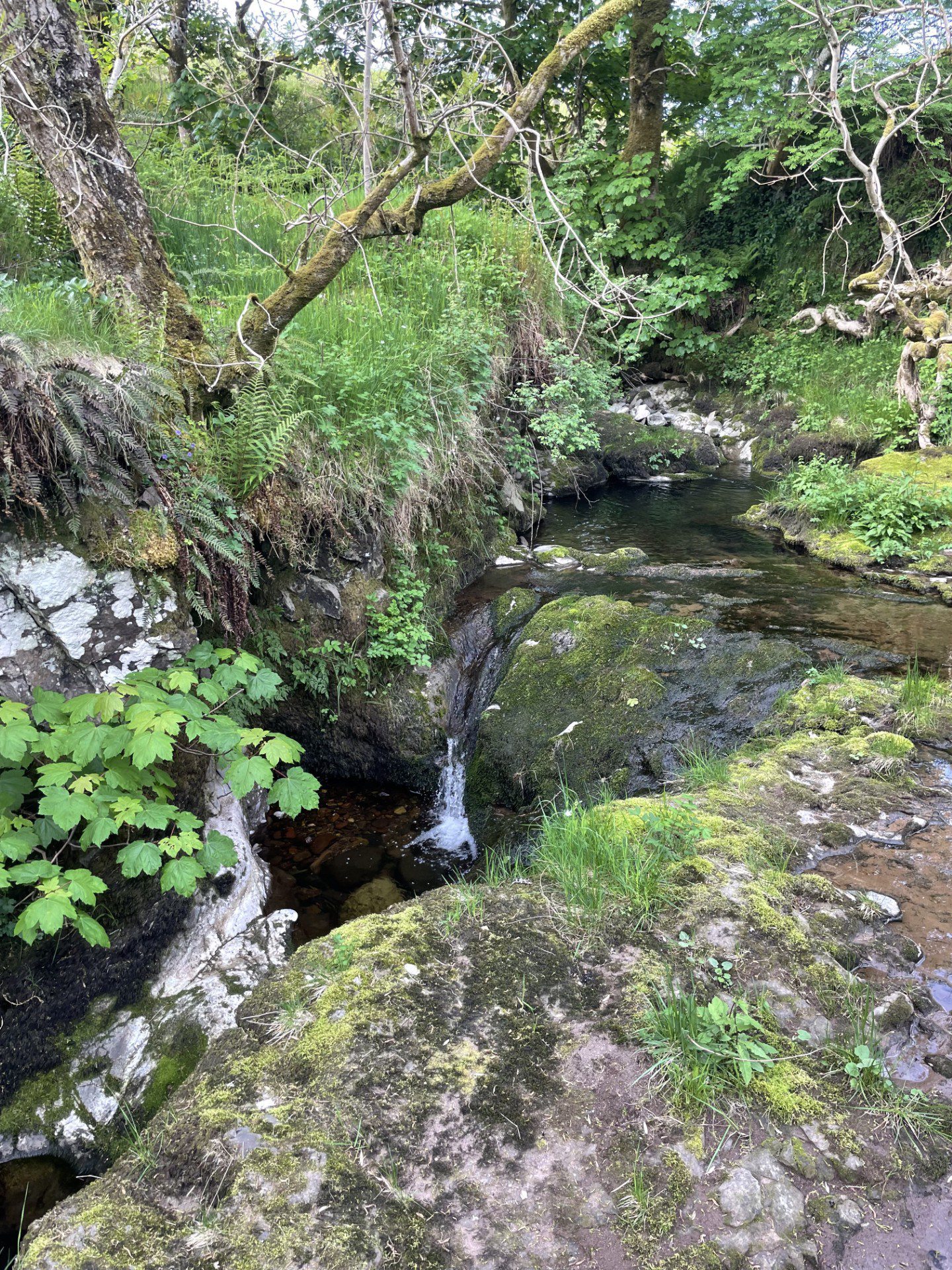 The nearby waterfall