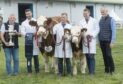 Supreme beef winners with Annick Ginger's Lucia were the Simmers team, from left, Philip Simmers, Darren Davidson, Reece Simmers, Andrew Simmers, with bull calf Backmuir Pompeii 23, and Symon Simmers.