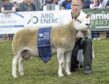 Keith, Allan and Roy Campbell secured their first ever Texel championship at the Royal Highland Show with this ewe.