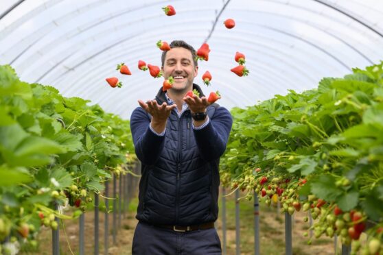 Liam Stewart, managing director at Stewarts of Tayside, says his family are extremely proud of their produce.