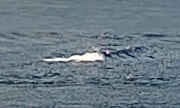 Strange photo in the water at Loch Ness