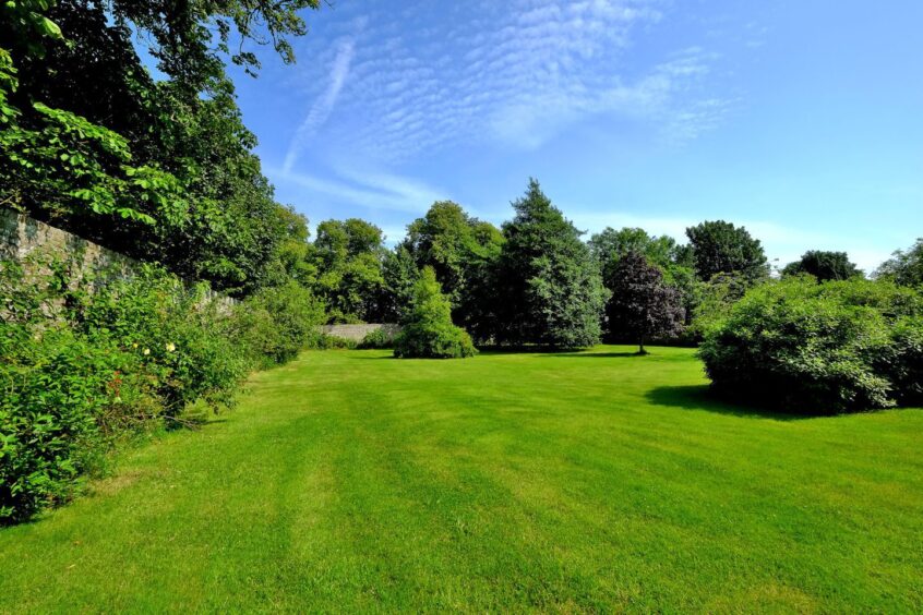 The large walled garden