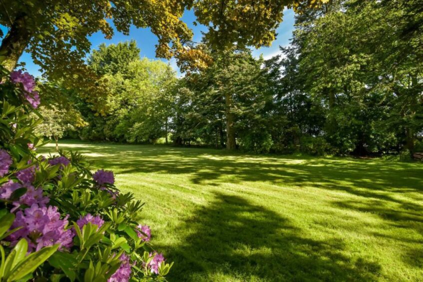 Gardens surrounding the mansion.