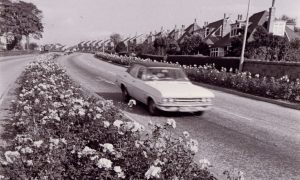 1968: Anderson Drive in all its glory in the summer of 1968 with the thousands of roses which helped make it one of the finest floral cities in Britain. Image: DC Thomson