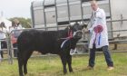 Graham Sutherland took the champion of champions title with his supreme cattle champion, Jojo.