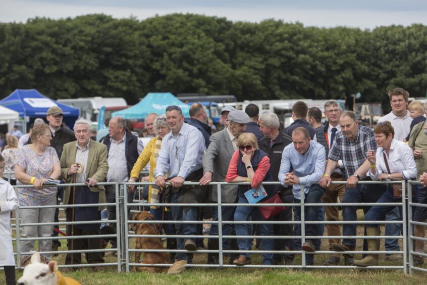 Spectators look on in anticipation as the overall sheep judging takes place.