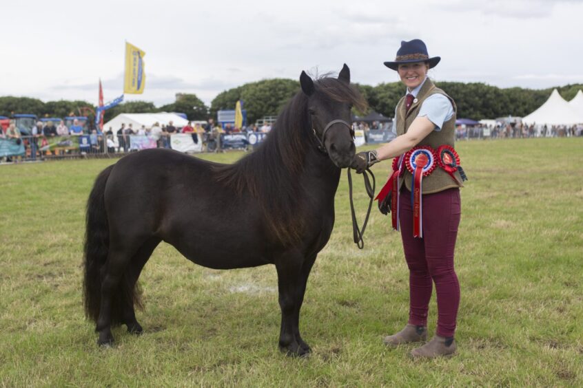 Kelly Peace, with the reserve champion of champions, the supreme horsechampion and Shetland pony champion.