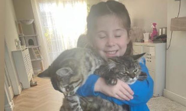 Aria Mitchell with the two cats.