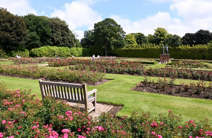 A bench inside a flower garden in Hazlehead Park, a fine spot for a picnic in Aberdeen