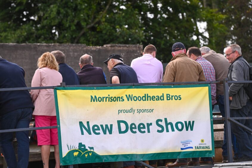 New Deer Show