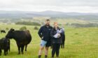 Duncan and Claire Morrison will be looking at the costs of finishing cattle at grass this month.