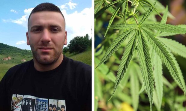Jail for man found running £210,000 cannabis farm from Inverbervie bungalow
