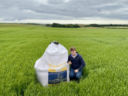 Harry Smith of Nervermill Seed