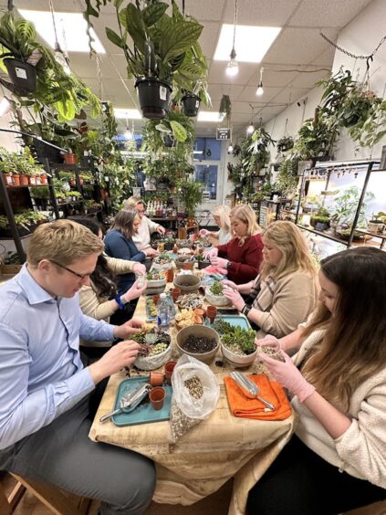 Getting to know different plant species at a Highland Moss workshop.