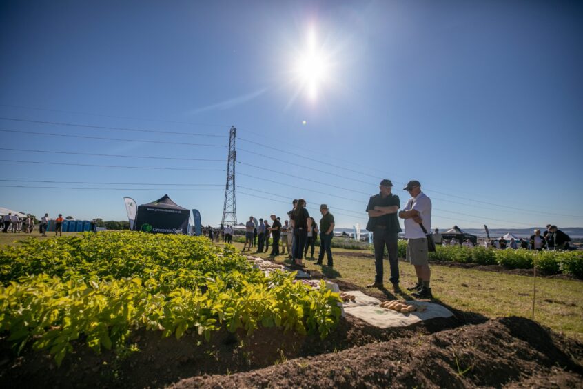 Potatoes in Practice 2022. 