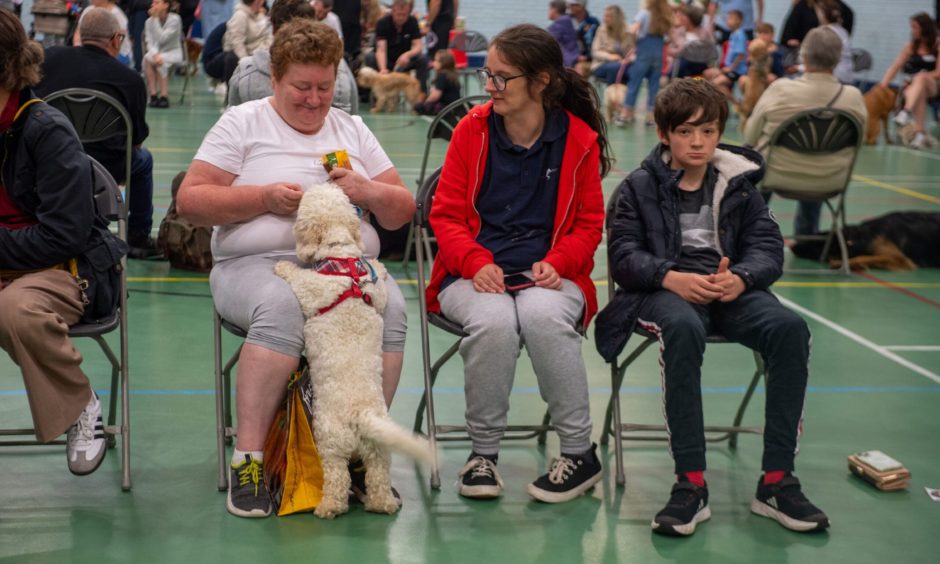 Peterhead Scottish Week Dog Show competition.