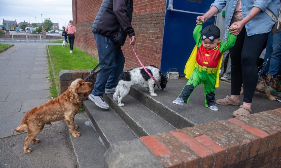 Peterhead Scottish Week Dog Show competition.