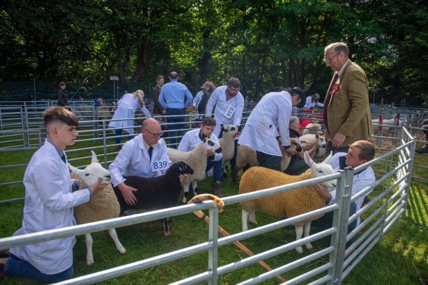 Banchory Show