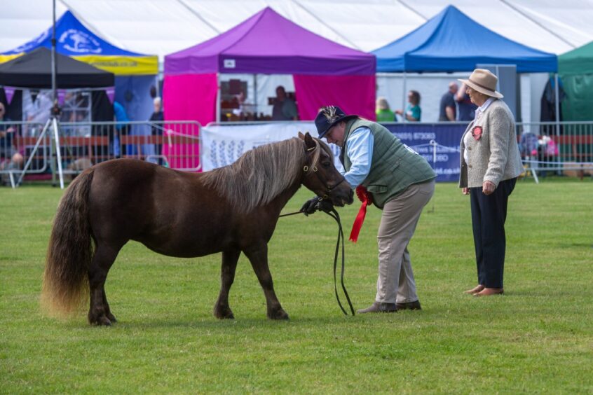 Banchory Show