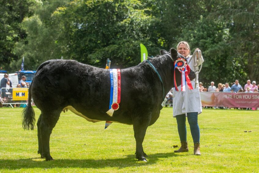 Banchory Show cattle champion