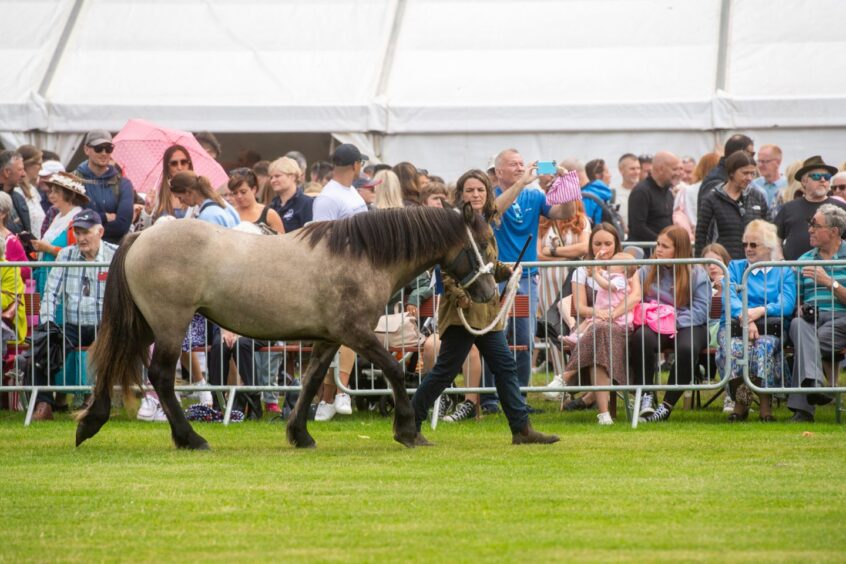 Banchory Show