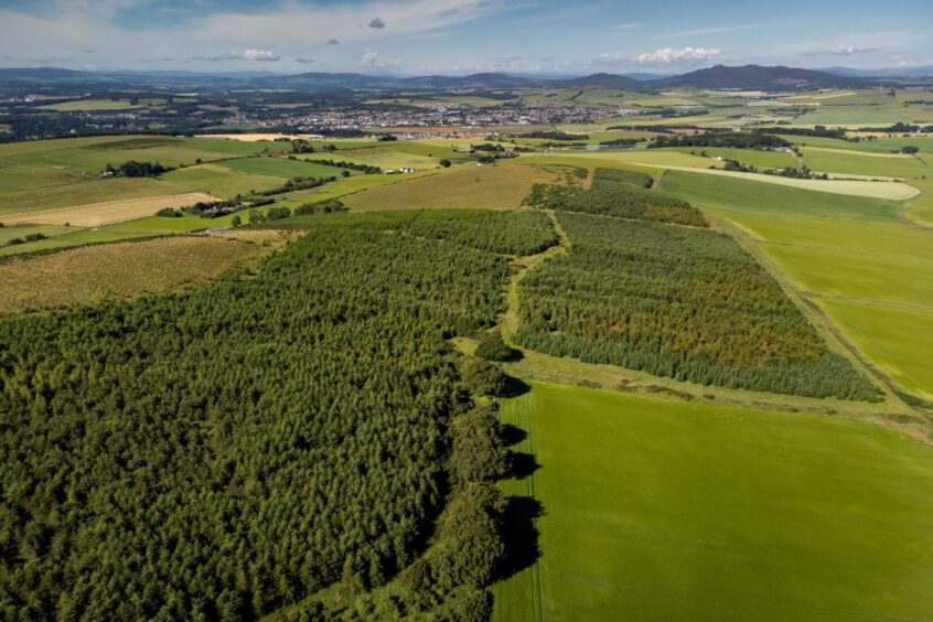 Aerial view of Aberdeenshire woodland Lawel Hill Wood.