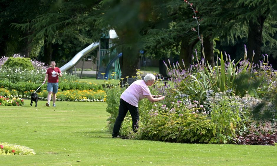 Volunteer working on plants in Grant Park. 