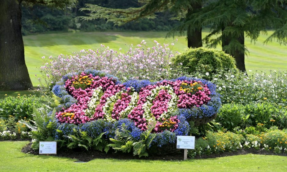 Butterfly flower display in Grant Park. 