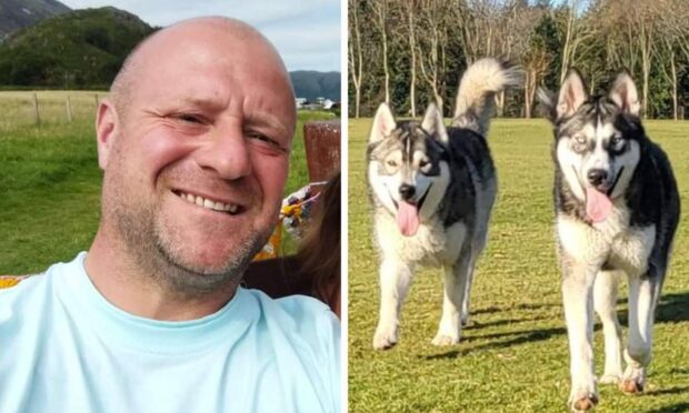 Huskies owned by Scott Forsyth escaped from his home and killed lambs at a nearby farm. Image: Facebook.