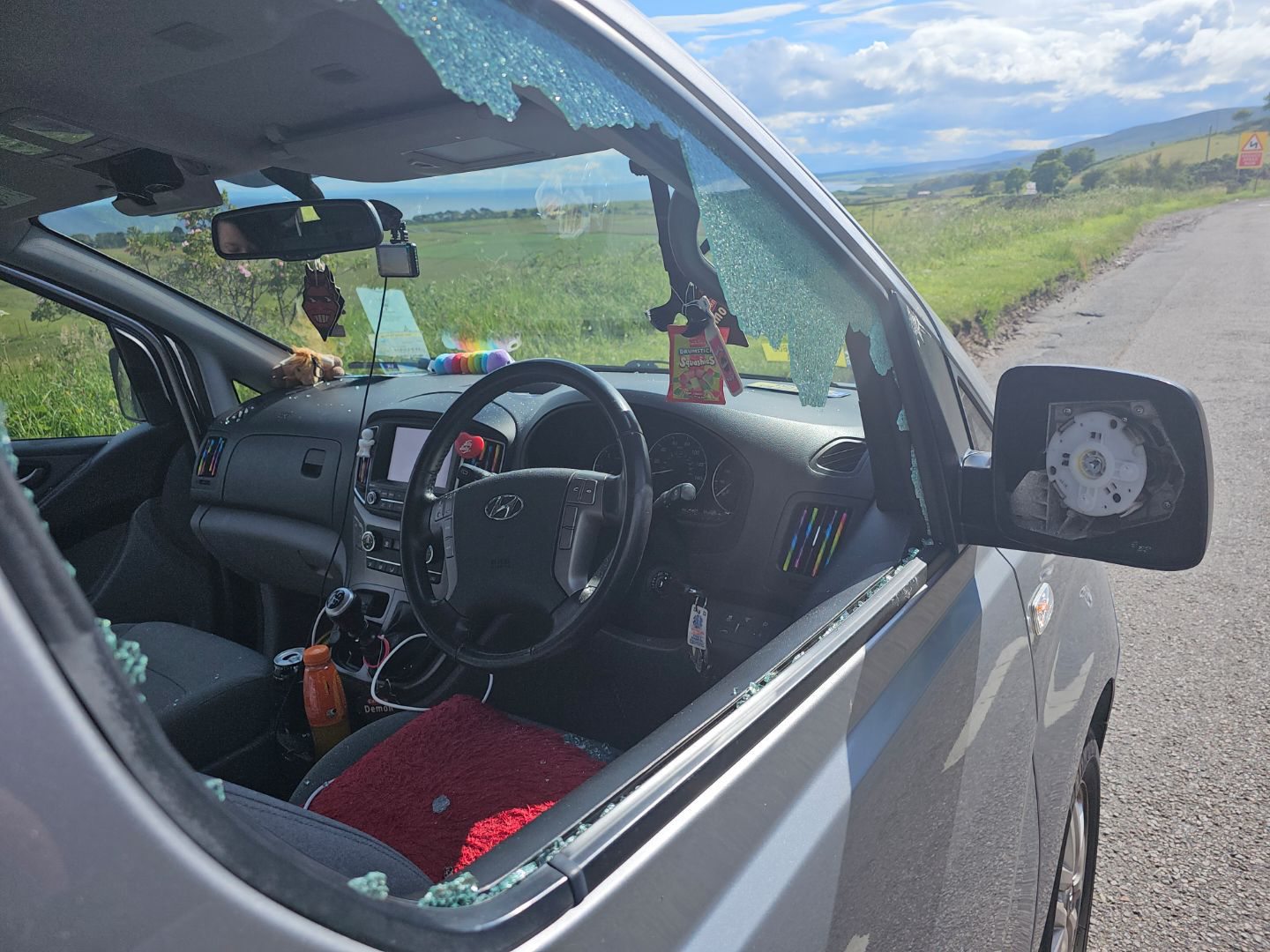 Driver's side window and wing mirror smashed in A9 hit-and-run.