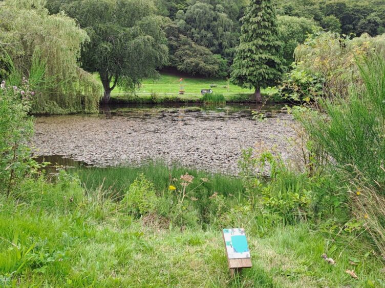 A loch where the frisbee must be thrown over