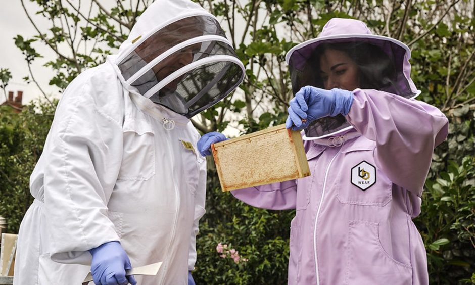 Nigella Lawson and a beekeeper looking at a hive in a purple suit.