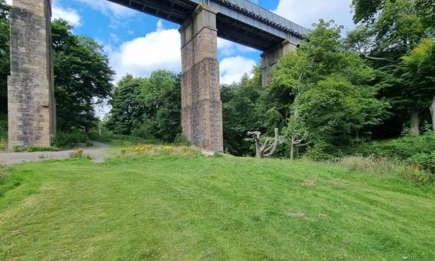 The viaduct over Mineralwell Park where the incident took place.