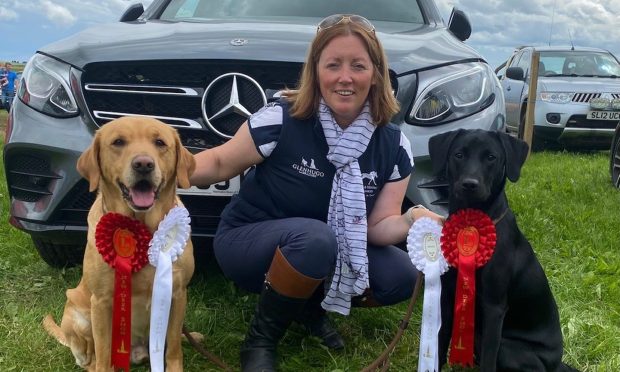 Prize-winning doggie duo Lacey and Parker, with their owner, Katrina Byrne.