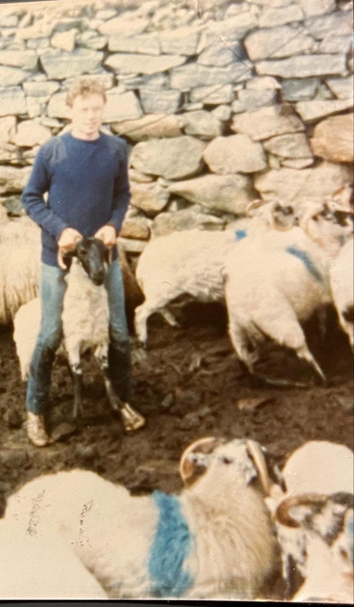 Iain Monk working with sheep on the family croft in Benbecula in 1980.