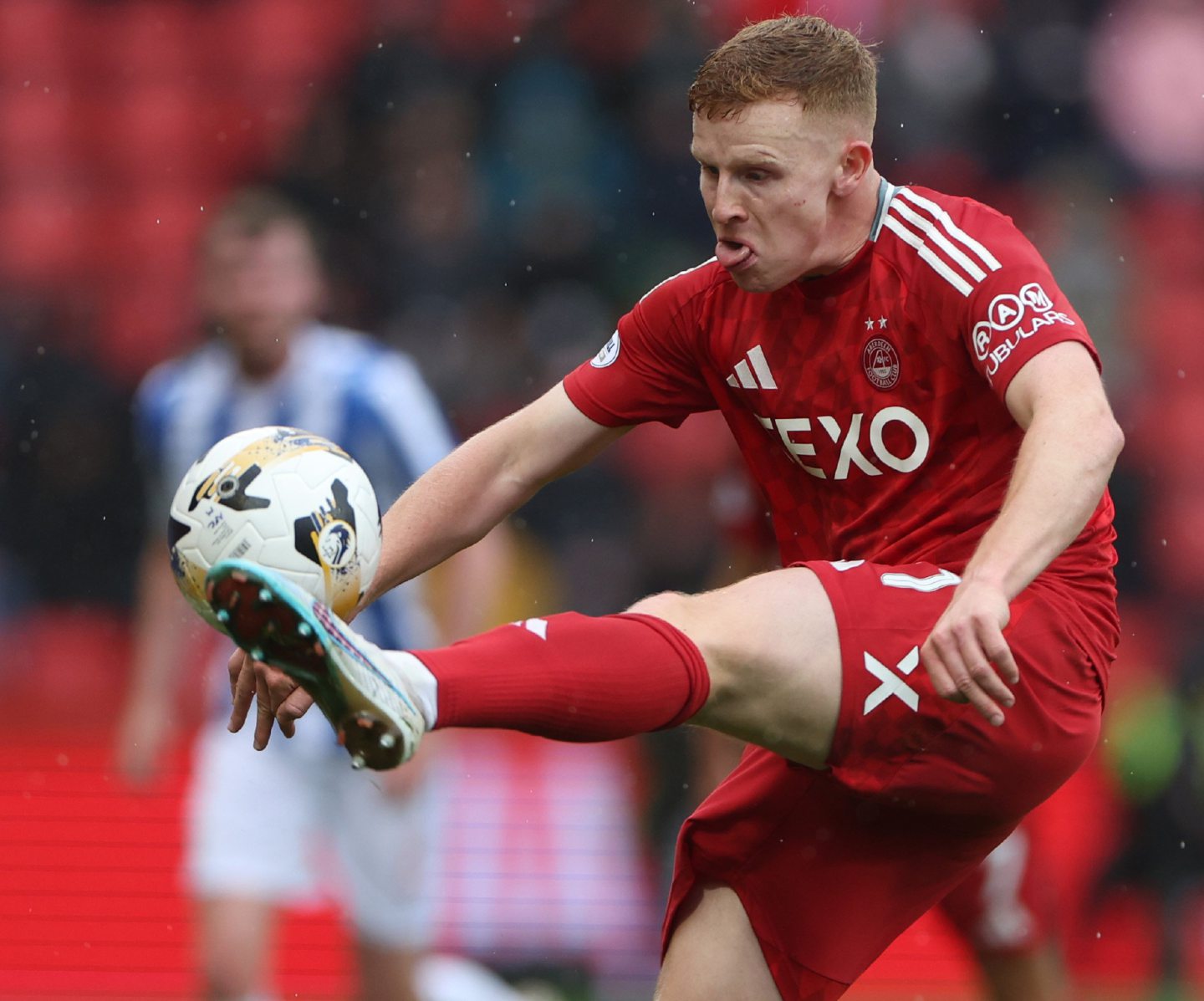 Aberdeen's Gavin Molloy in action during the 2-0 win against Kilmarnock. Image: Shutterstock