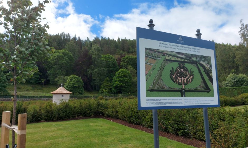 Maze showing details of Balmoral maze