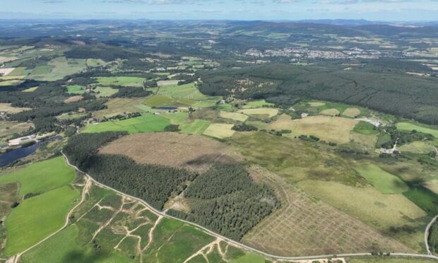 A pair of Banchory woodlands have made their way onto the market. Image: Goldcrest Land & Forestry Group