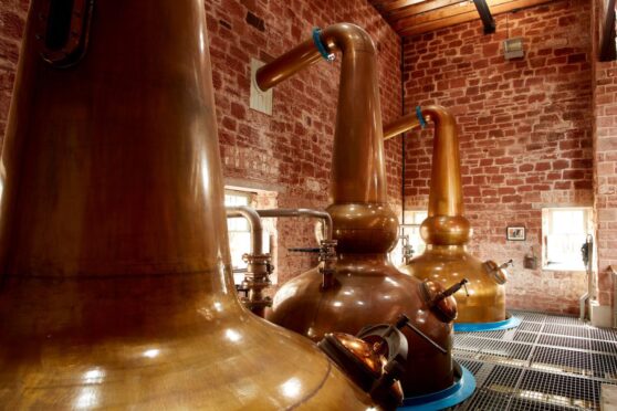 the spirit stills at Annandale Distillery