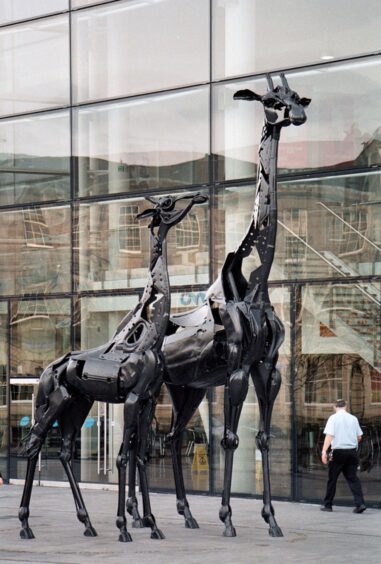 Two huge metal giraffes named Martha and Gilbert in Edinburgh sculpted by Strathdon sculptor Helen Denerley with the assistance of Mark Stevens.