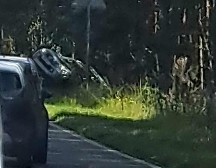 Vehicle lying on an angle in an area of trees.