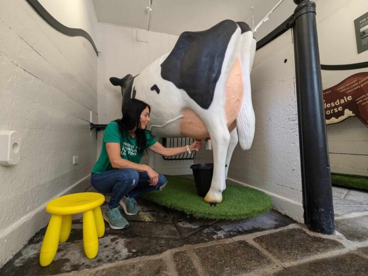 You can 'milk' a dairy cow at the new Visitor Information Centre at Aden Country Park. Image: Gayle Ritchie.