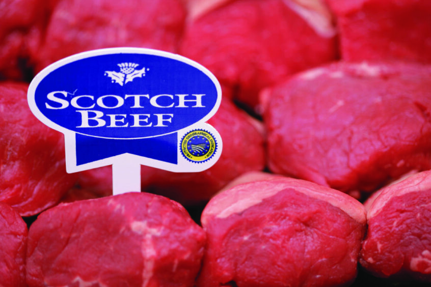 Scotch beef.