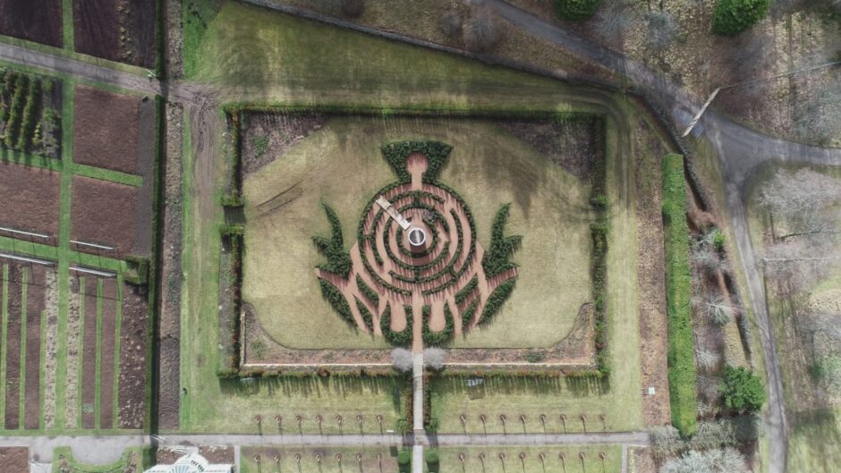 Aerial view of thistle maze