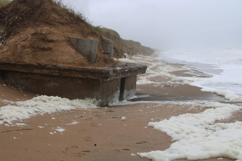 Blackdog pillbox 